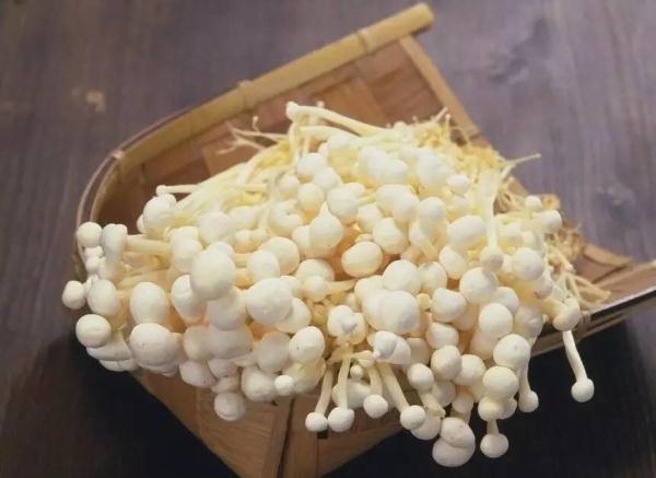 同菇类最适合的煮法不一样麻将胡了金针菇、茶树菇不