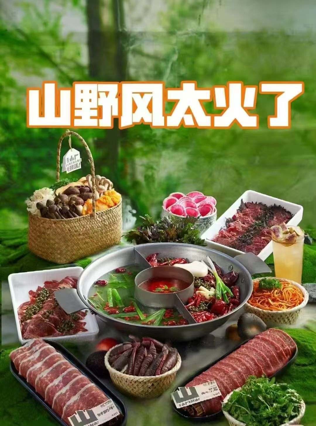 训品牌Top排行复盘分享麻将胡了2026